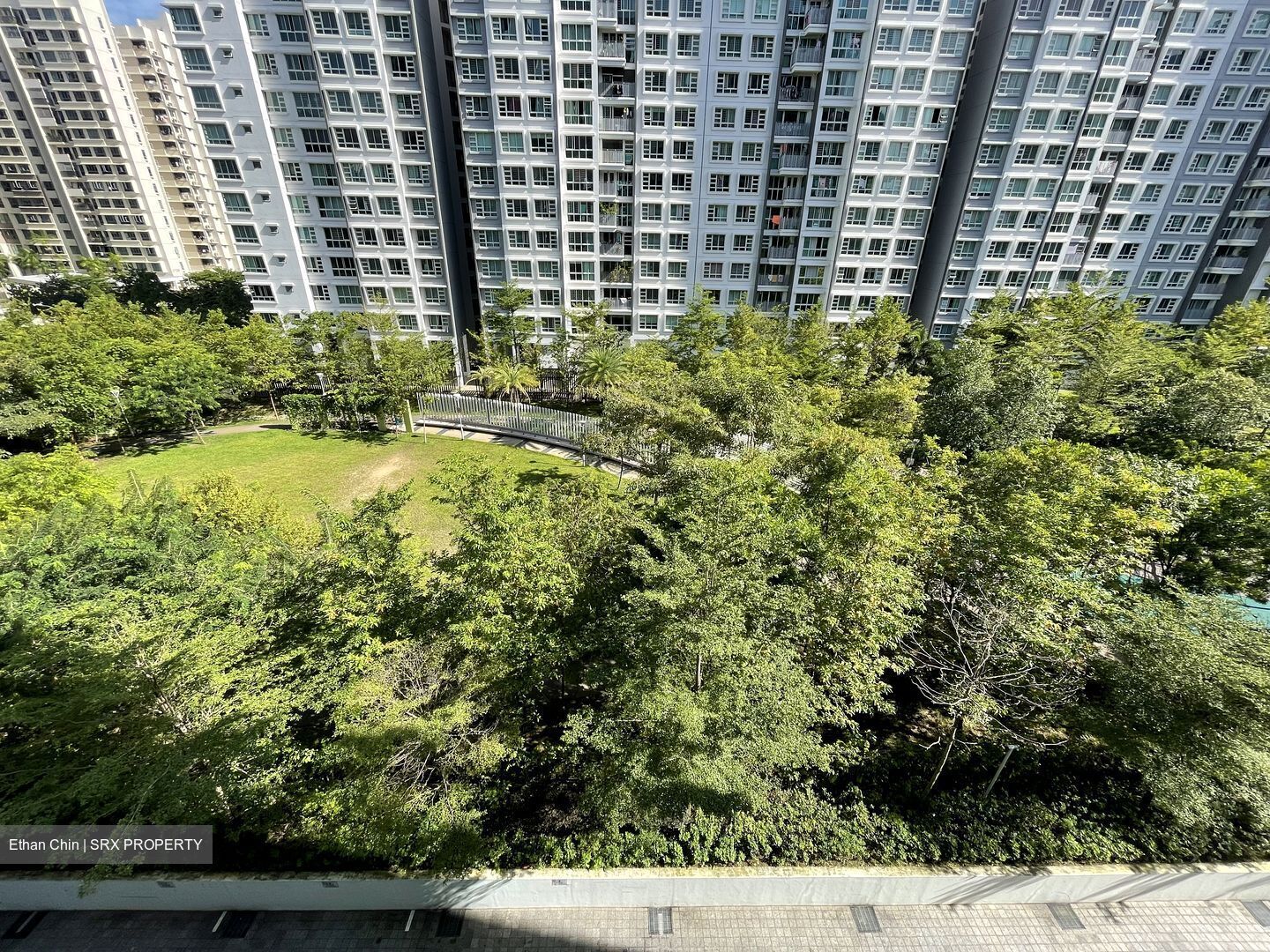 A Treasure Trove (D19), Condominium #520806671